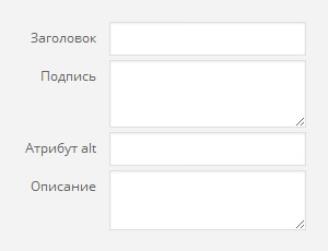 параметры картинки wordpress