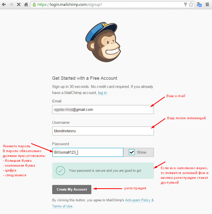 Ввод регистрационных данных форма регистрации mailchimp